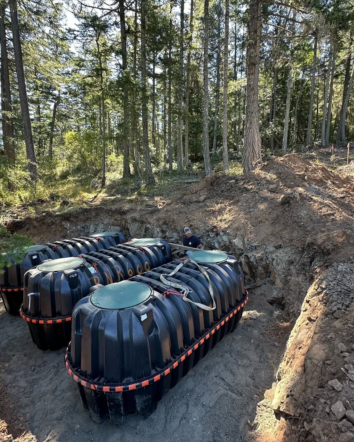 Poly septic tanks set into a pit dug out of rocky forested ground.
